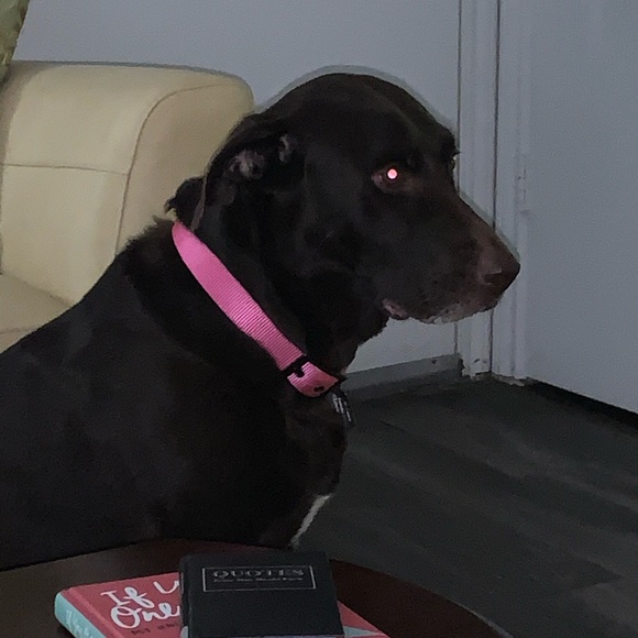 Meet your Posher, Mark - Picture 3 of 3